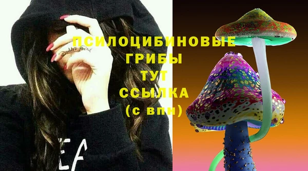 крисы Арсеньев